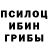 Галлюциногенные грибы Magic Shrooms XE4L